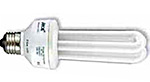 Low Voltage Bulbs