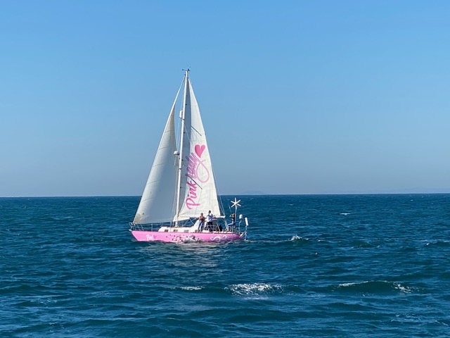 small sailboat on open water